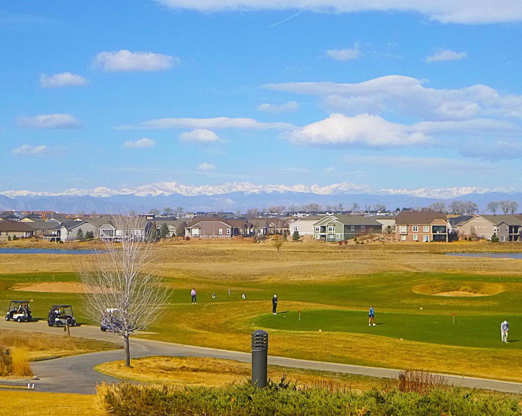 (Photo submitted by DiamondAces on 03/11/2026)