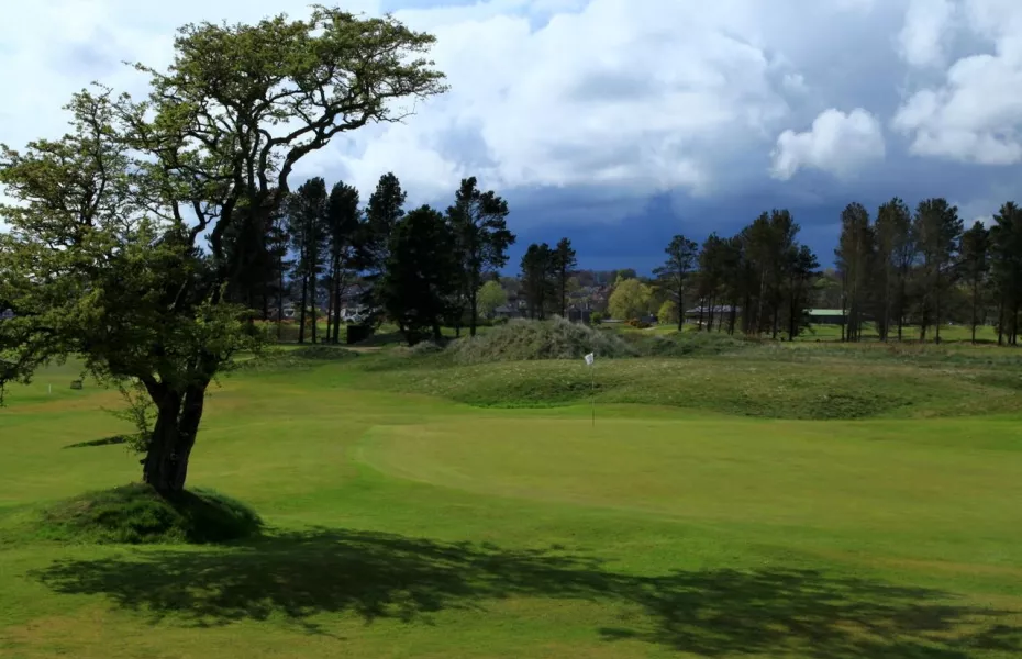 Monifieth Golf Links - Ashludie: #6