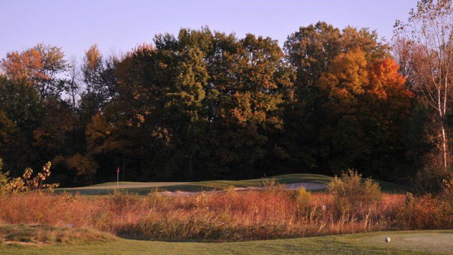 Currie GC