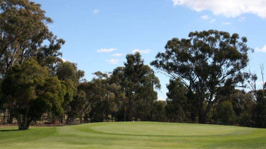 Eaglehawk GC: #6