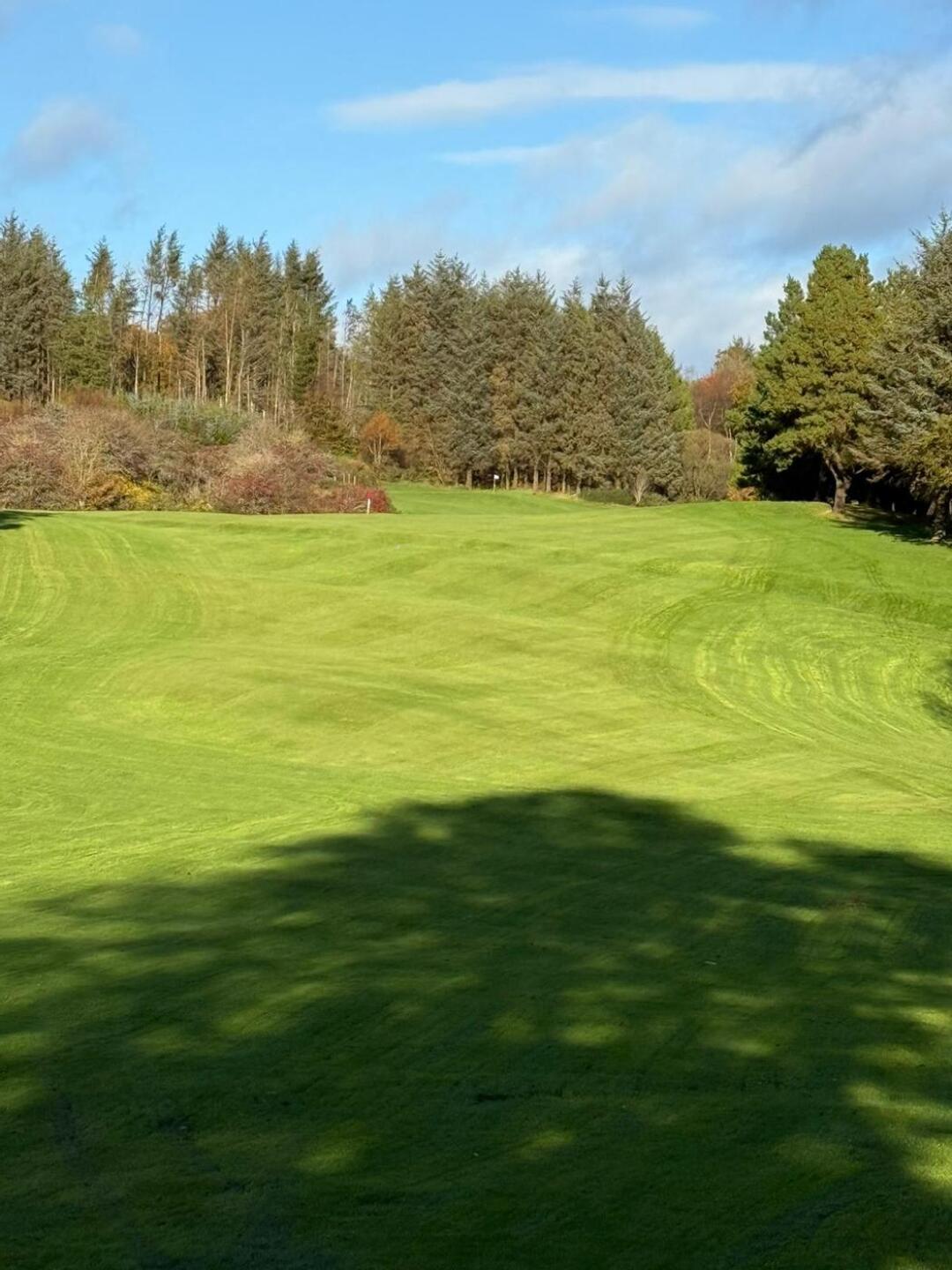 (Photo submitted by RFGqa7GMr9u8wXHutHkK on 11/05/2025)