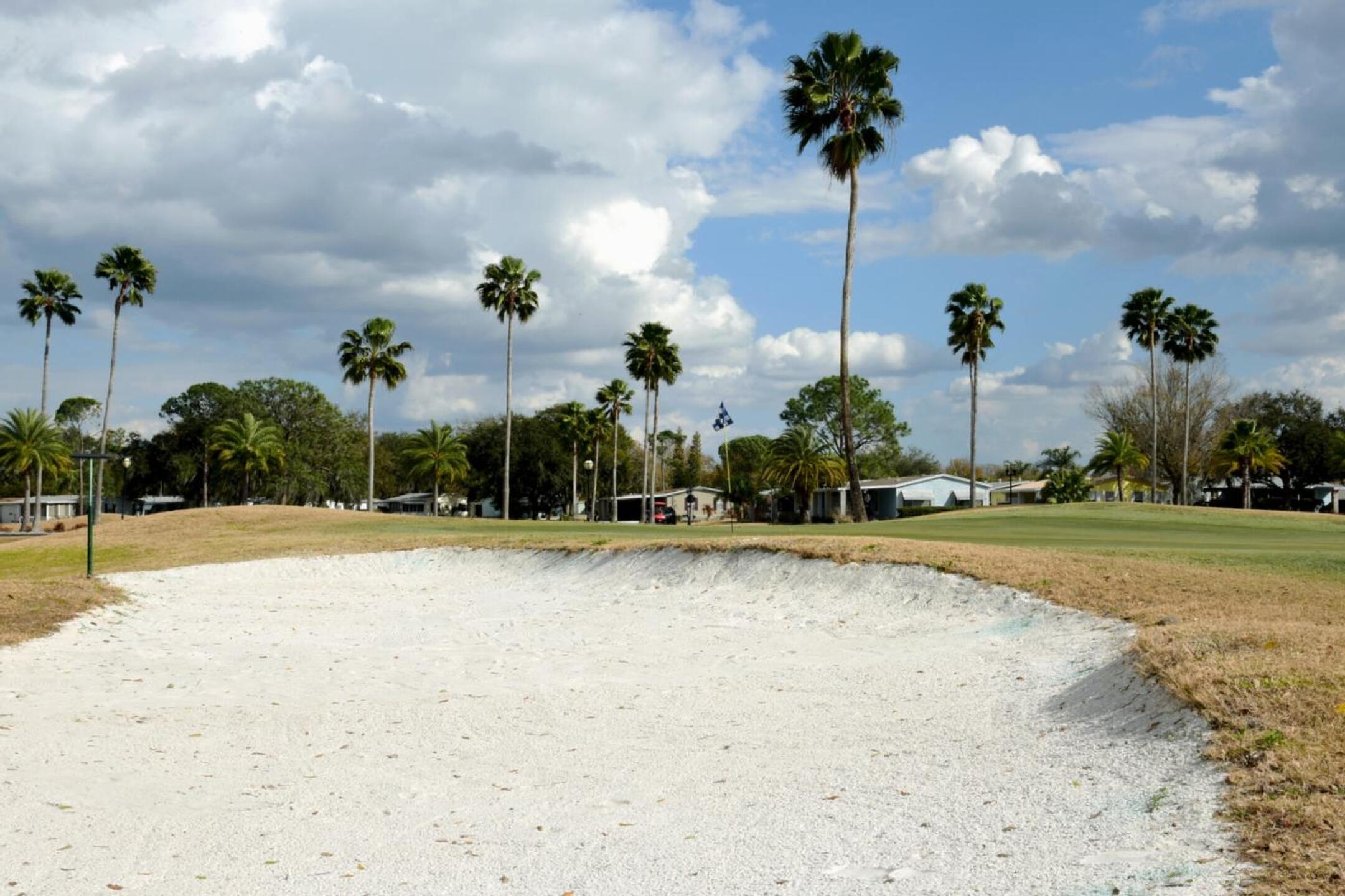 Green three is well guarded by this huge bunker on the left, OB right. The course’s Florida aesthetic is anchored by its towering fan palms. (Photo submitted by AptlyLinked on 02/18/2026)