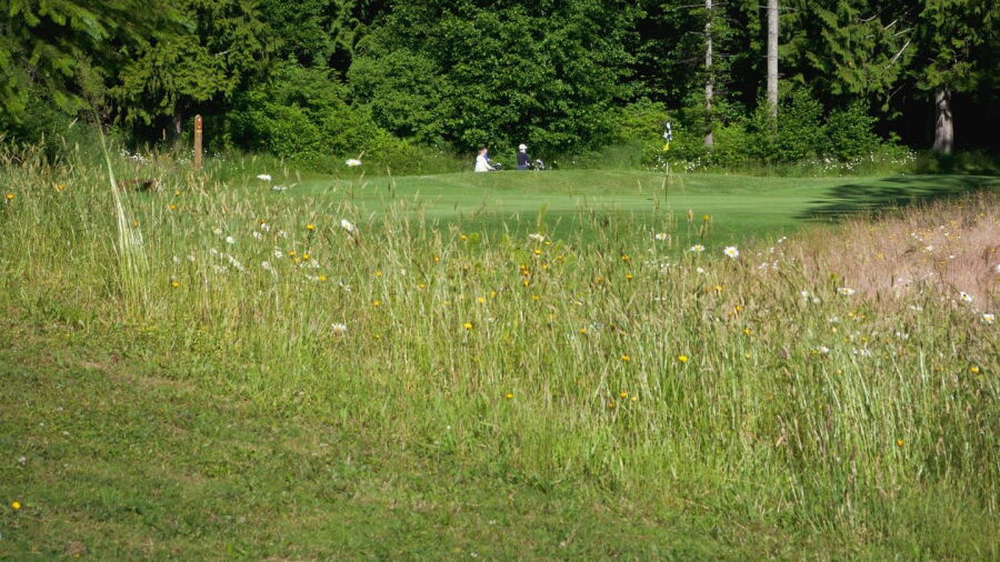 Brigadoon GC