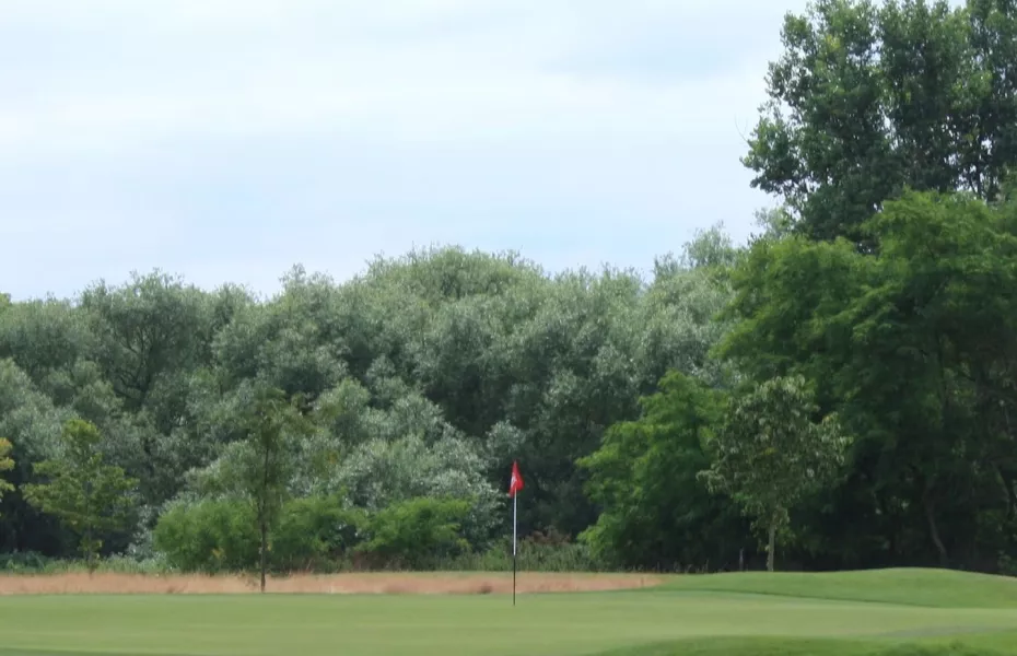 Royal Mid-Surrey GC - J. H. Taylor: #13