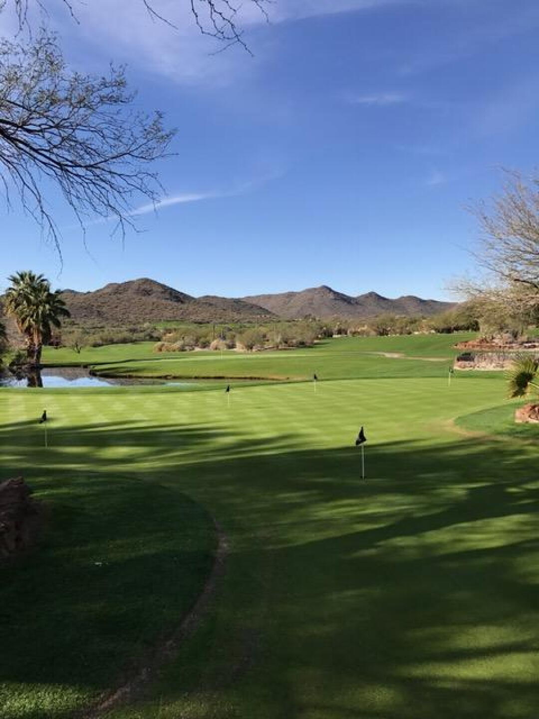 Putting Green (Photo submitted by dpmontgomery79 on 01/26/2017)