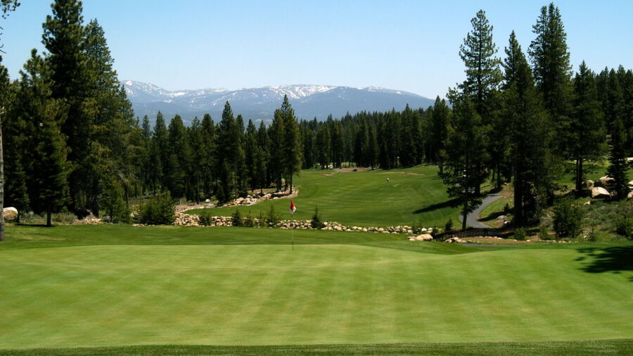 Coyote Moon GC: #15