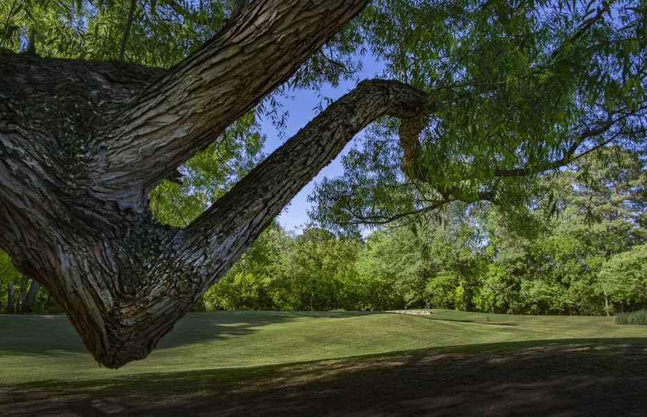 Cross Creek GC