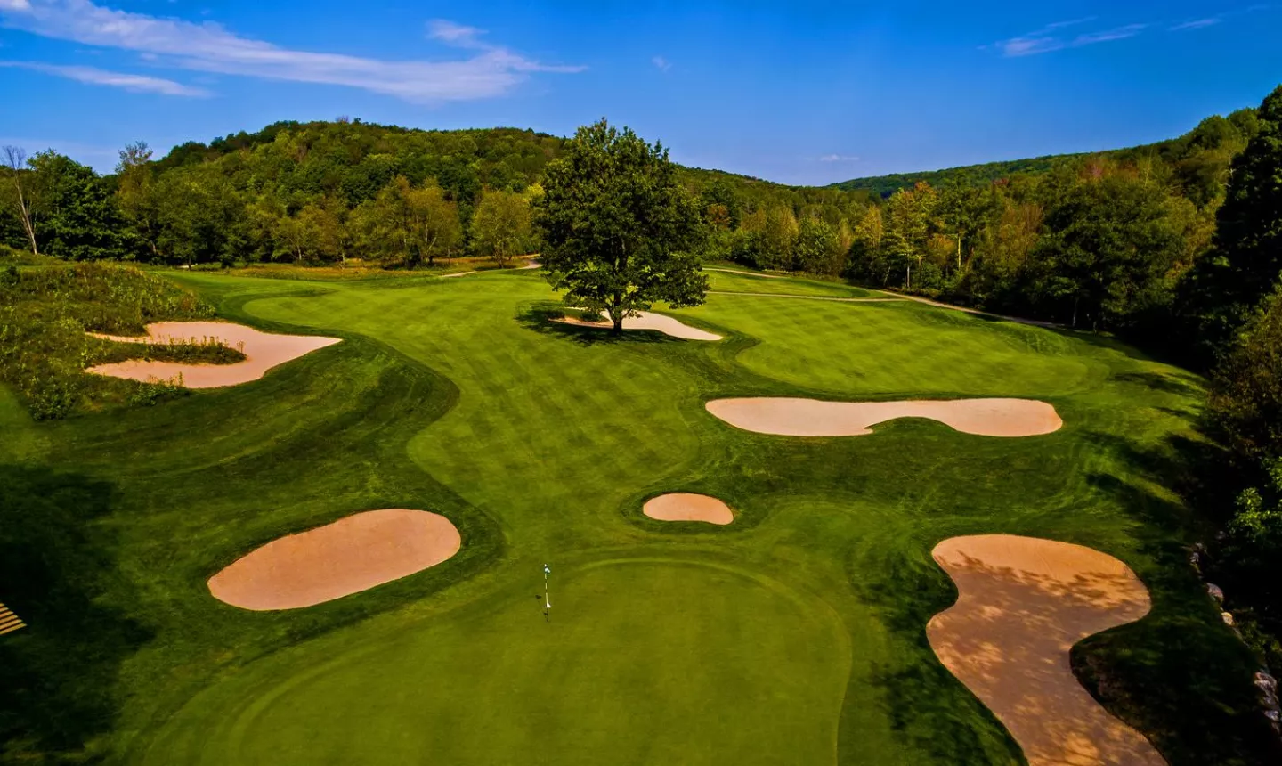 The Cedar River at Shanty Creek: #13