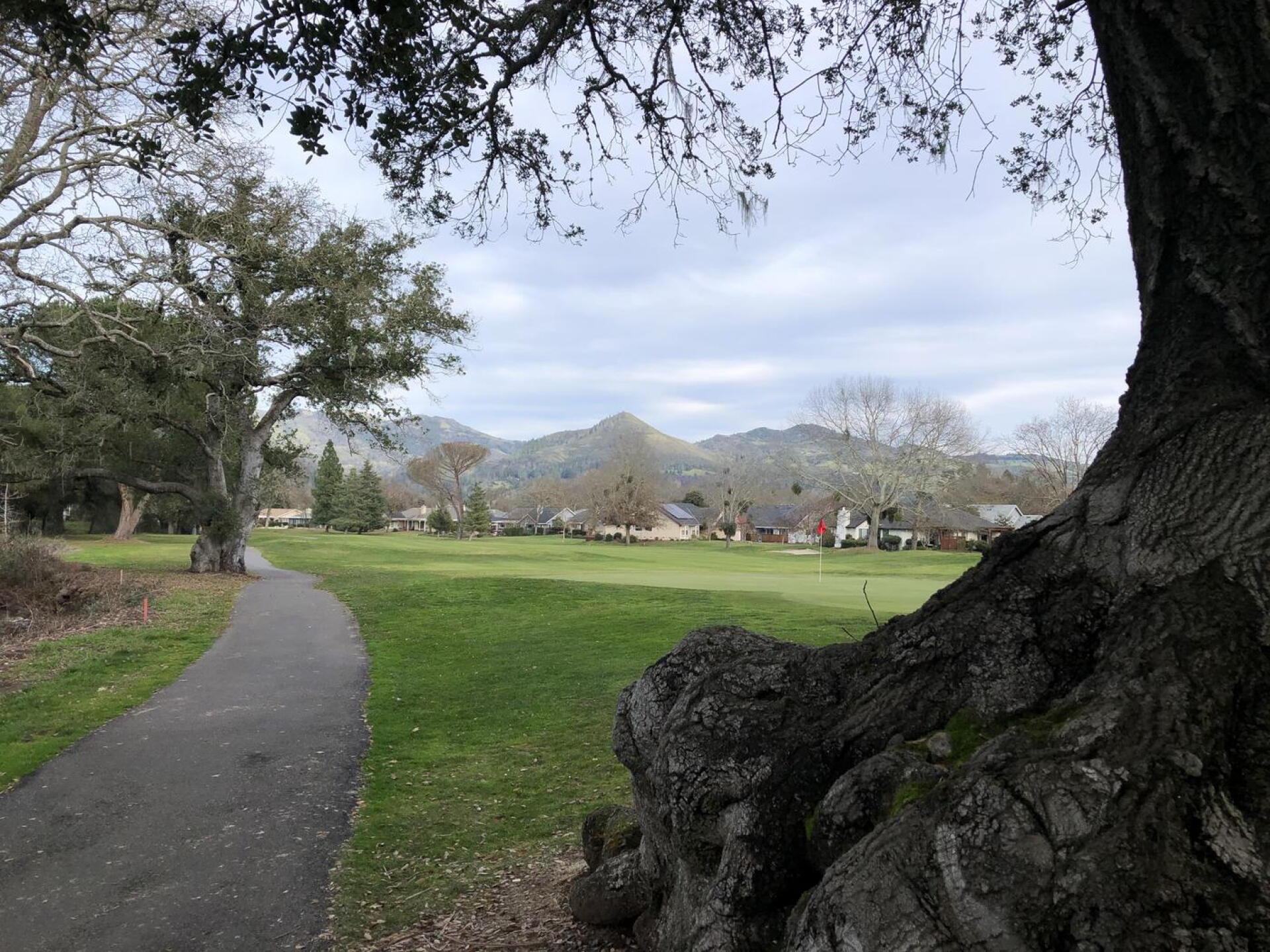 (Photo submitted by u813780306 on 01/14/2022)