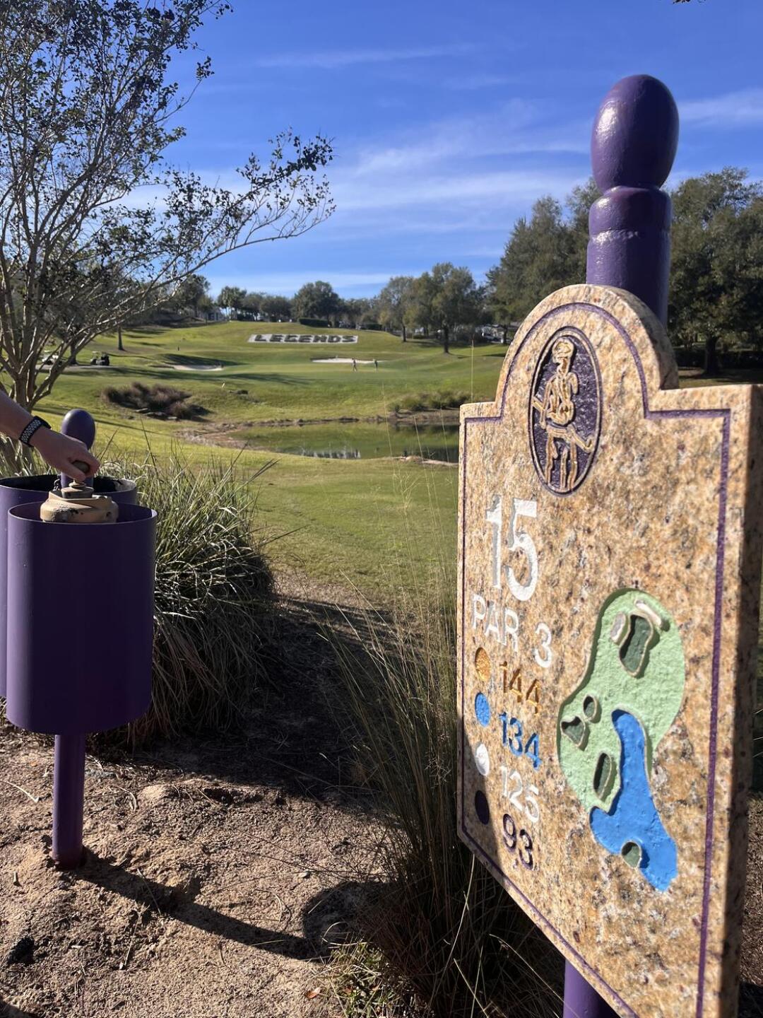 (Photo submitted by PurpleDanny on 01/05/2025)