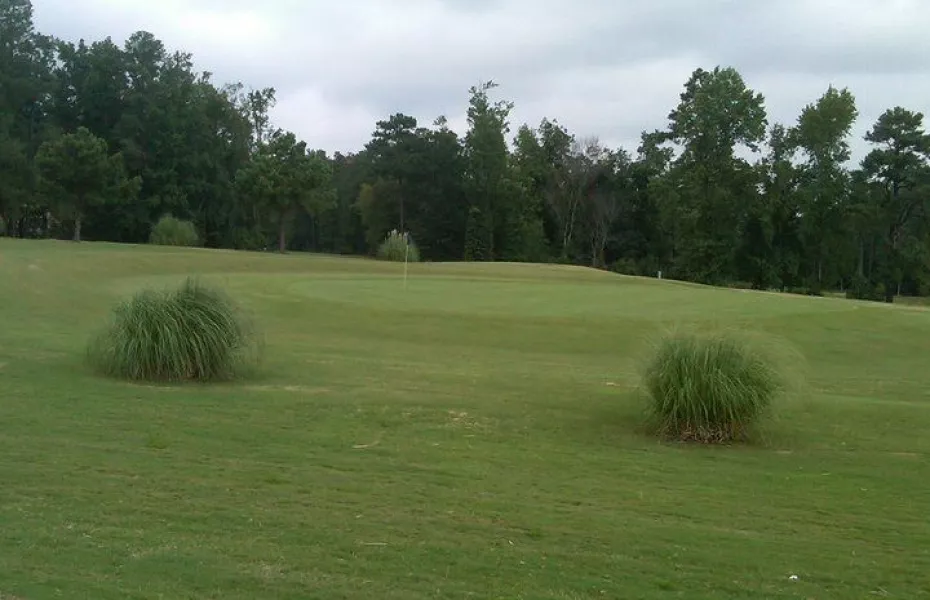 Bull Creek G & CC: #12