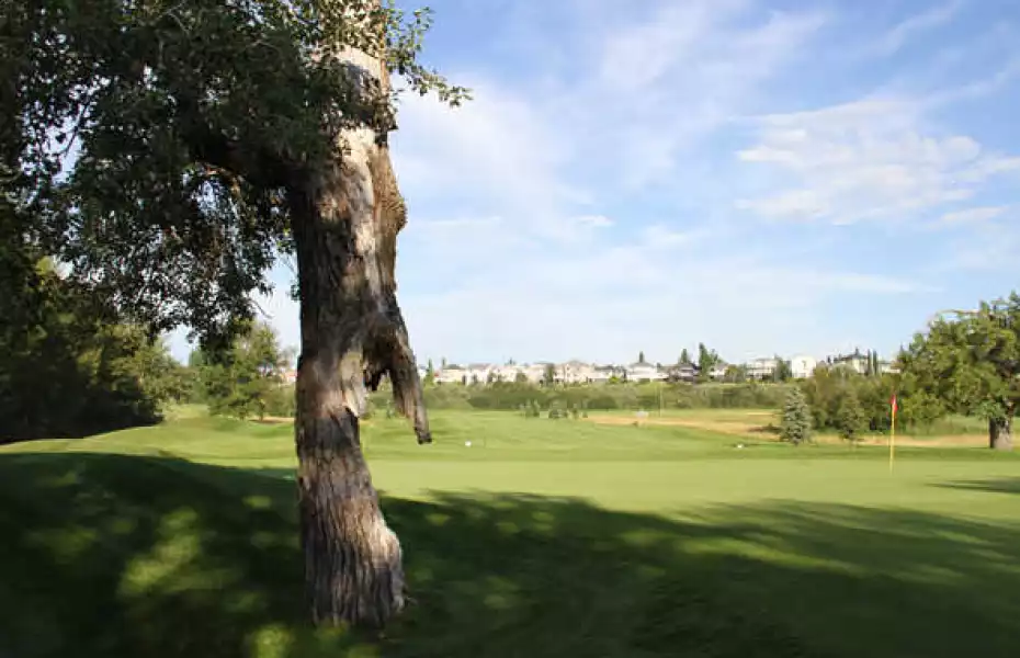 McKenzie Meadows GC: #13