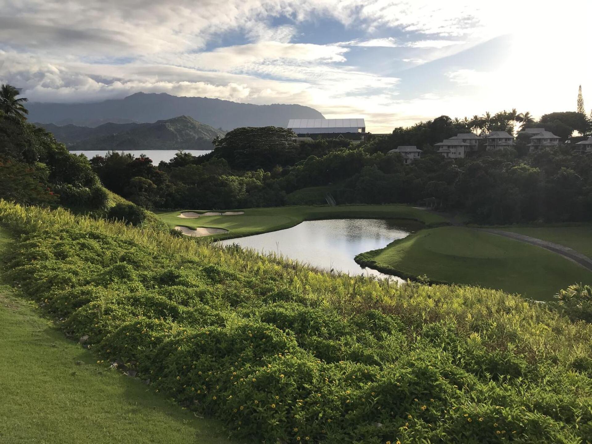 No. 3 (Photo submitted by JasonDeeganGA on 07/13/2021)