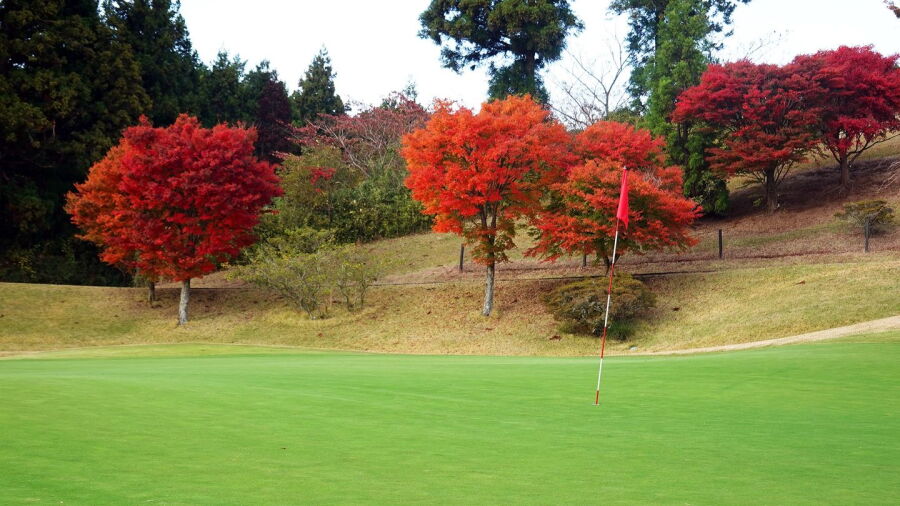 Kannami GC