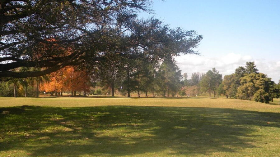 Concordia GC