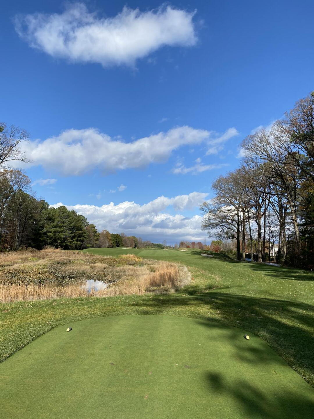 #15 (Photo submitted by Waltmoddison on 11/28/2020)