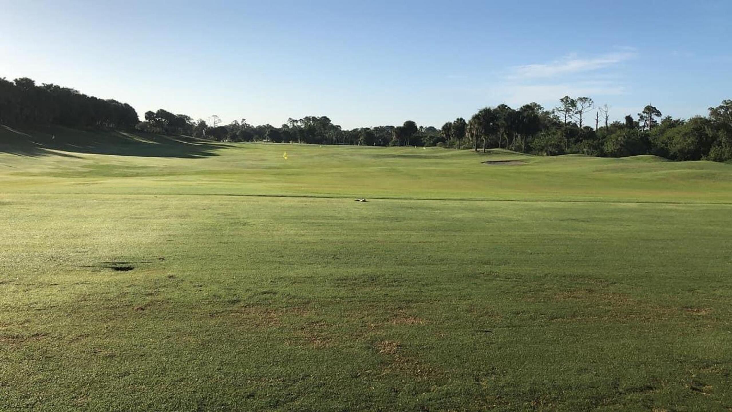 (Photo submitted by drjoeb1007 on 06/10/2021)