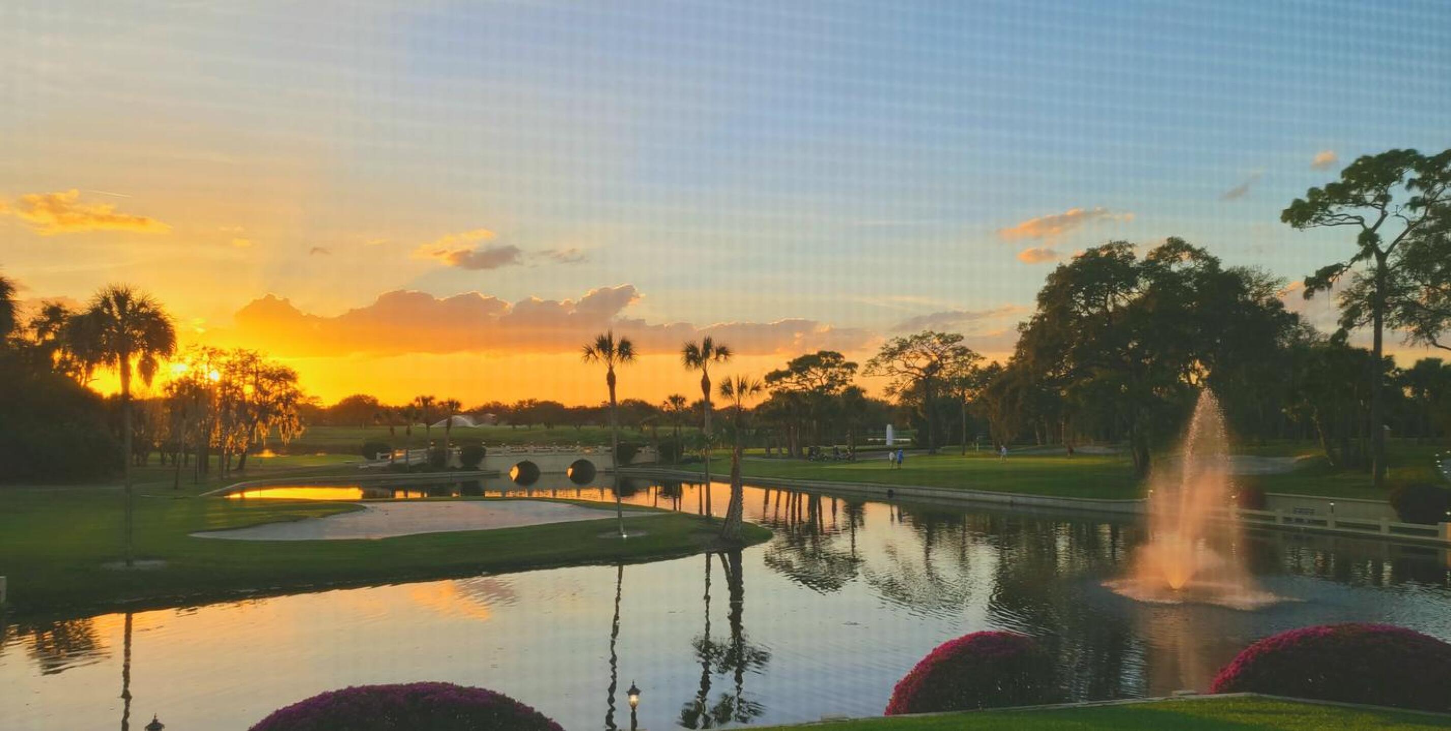 (Photo submitted by JamesLed007 on 03/01/2021)