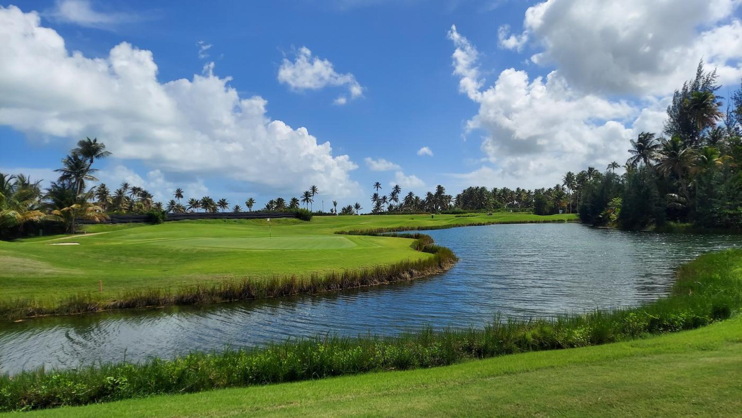 (Photo submitted by Cigala on 01/26/2021)