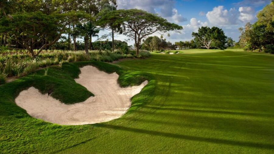Sanctuary Cove Resort - The Palms: #1