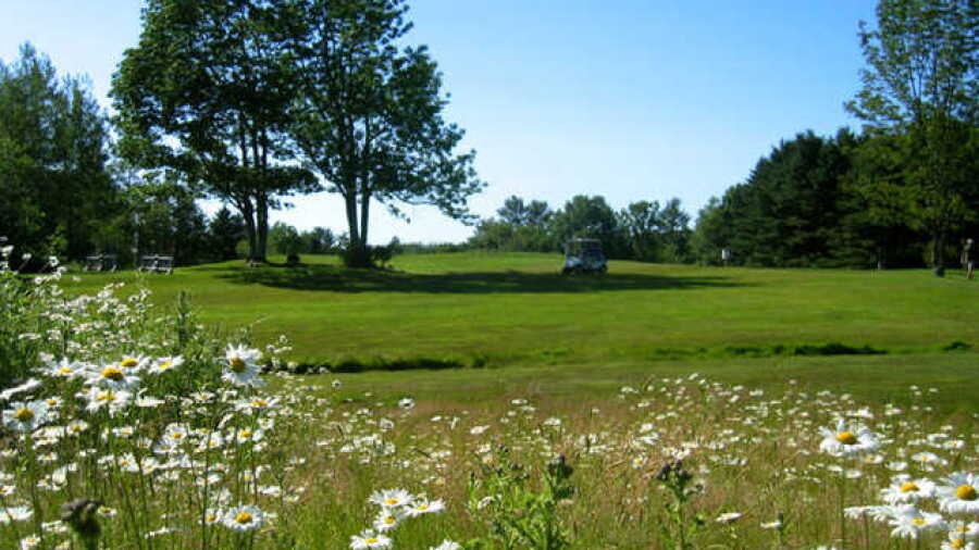 Freeport CC: #9