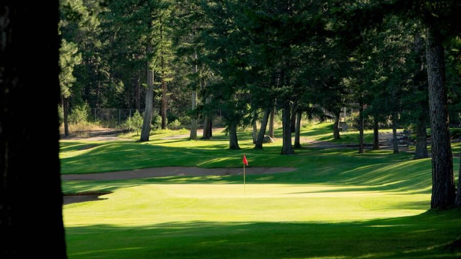 Cranbrook GC: 8th green