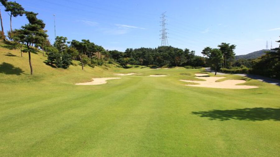Shinan CC - Orange: #1