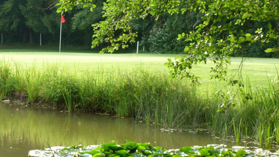Zurich GCC