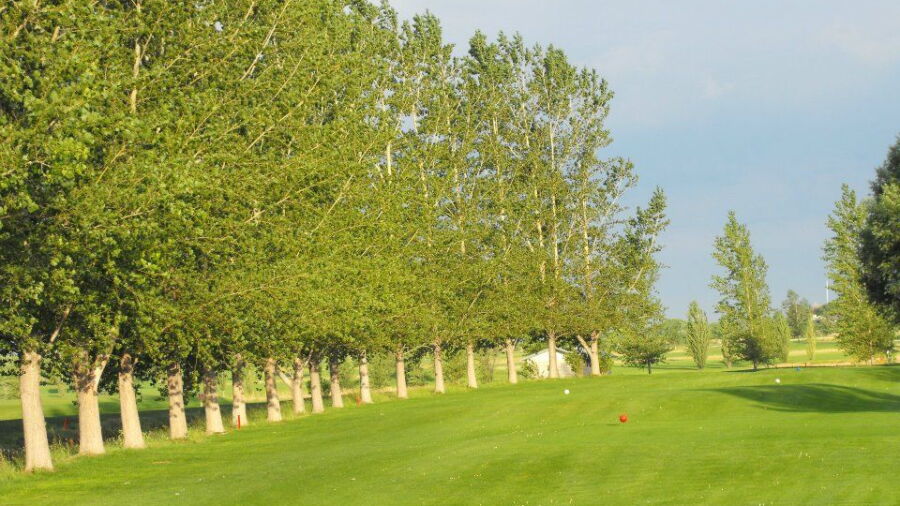 93 Golf Ranch