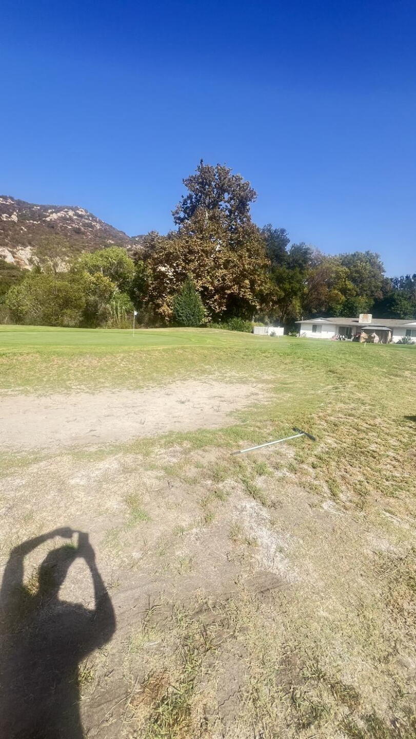 Dry bunkers with weeds growing (Photo submitted by marco9591613 on 10/19/2024)