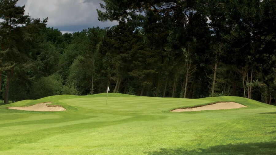 Pannal GC: #8