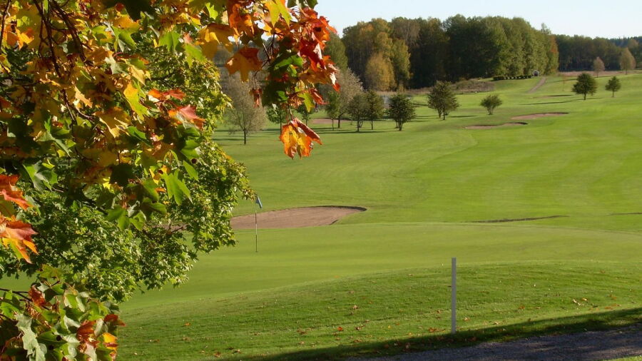 Finspangs GC - Blue: #9
