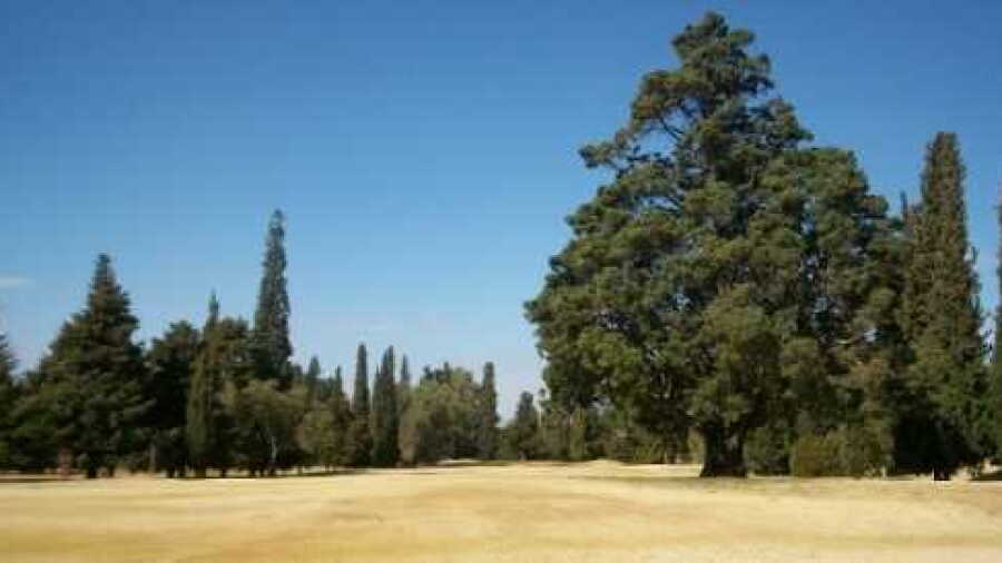 Andino GC: #3