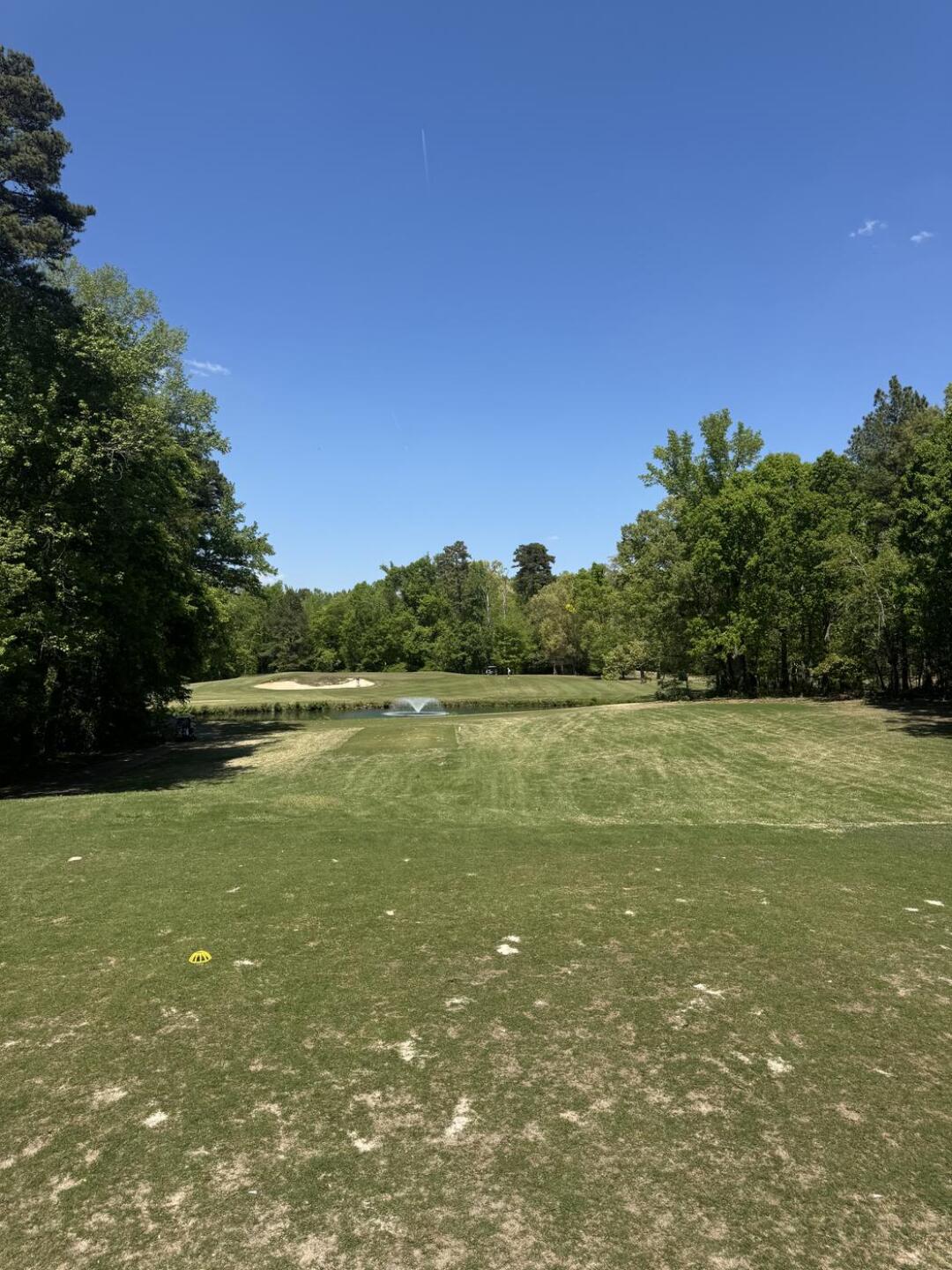 (Photo submitted by timmyd75 on 04/11/2026)