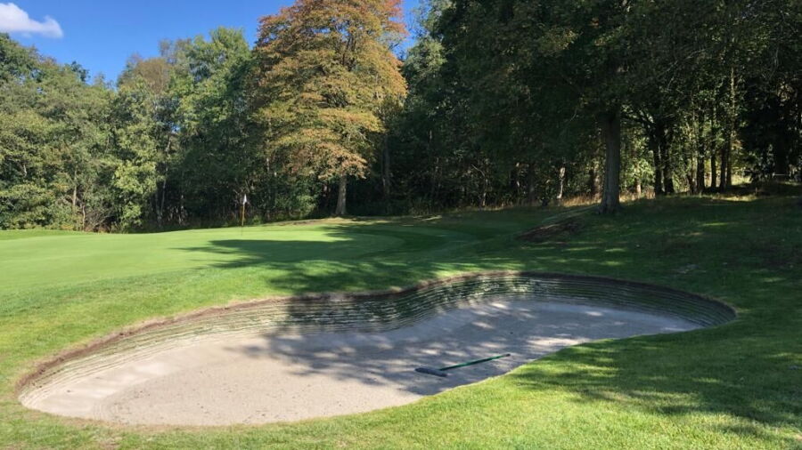 Brickendon Grange GC: #17