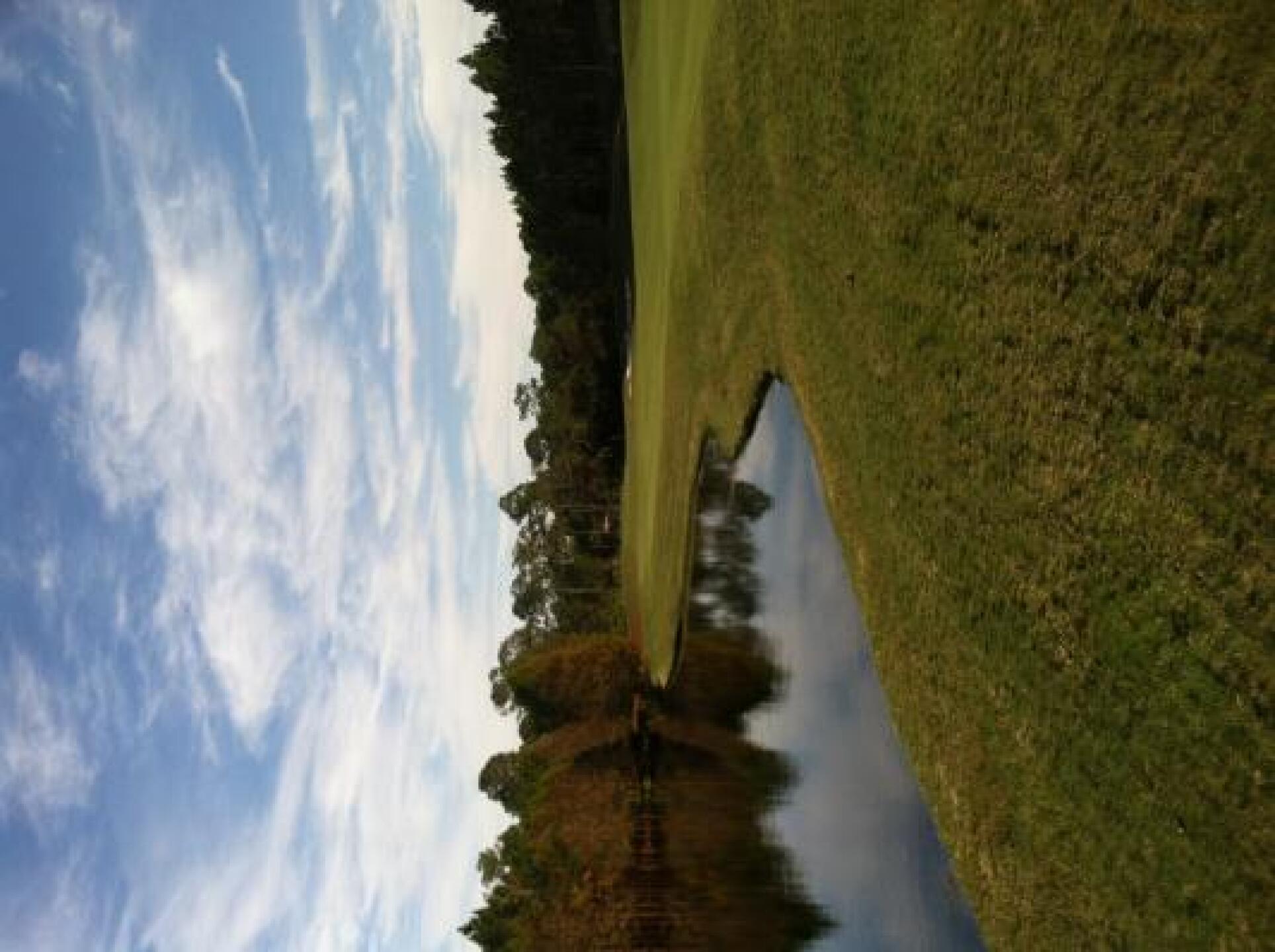 (Photo submitted by David7324791 on 12/14/2014)