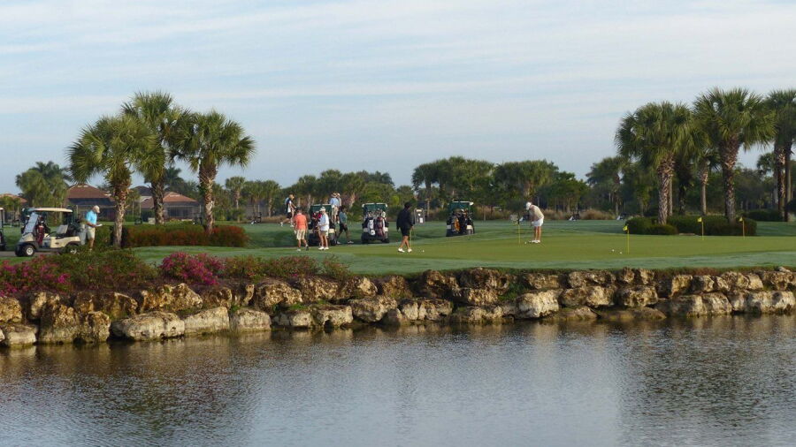 Copperleaf GC: Practice area