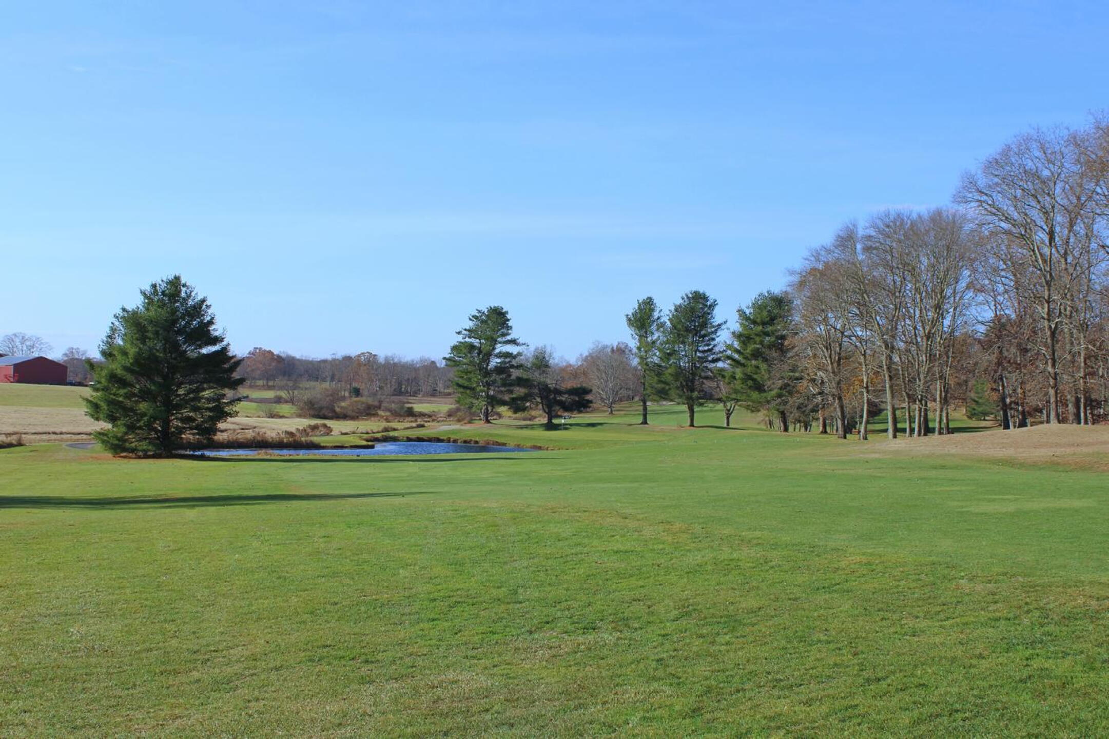 At the par-5 eleventh, the pond that guards the green may not seem all that threatening from this view. (Photo submitted by AptlyLinked on 11/11/2024)