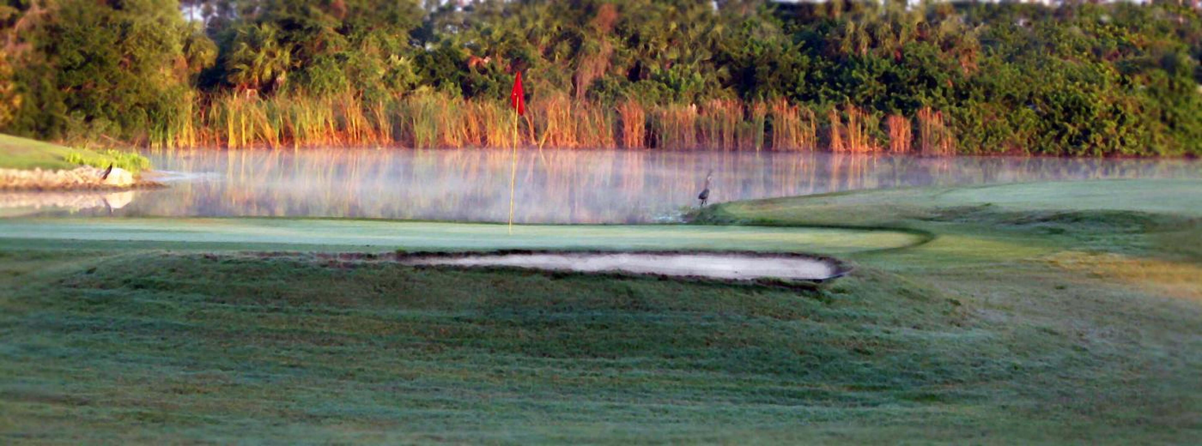 Early one morning, 18th (Photo submitted by VRR2QdRGgap40jR5yDNG on 11/10/2020)