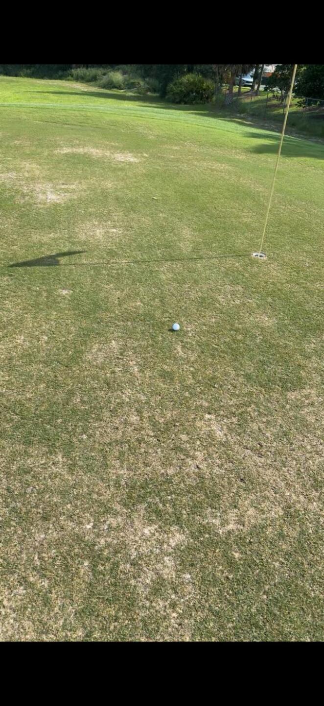 (Photo submitted by melly96 on 06/08/2025)