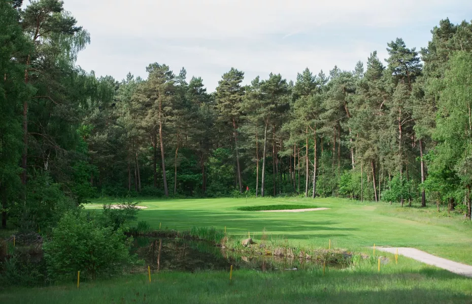 Burgdorfer GC - Short: #3