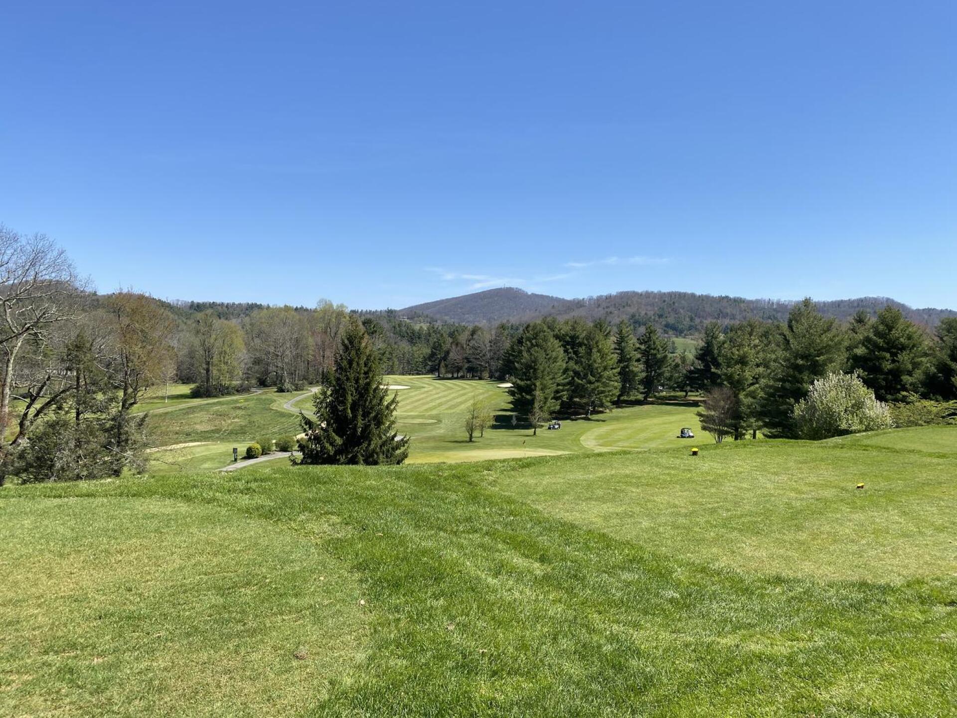 (Photo submitted by tingle on 04/27/2021)