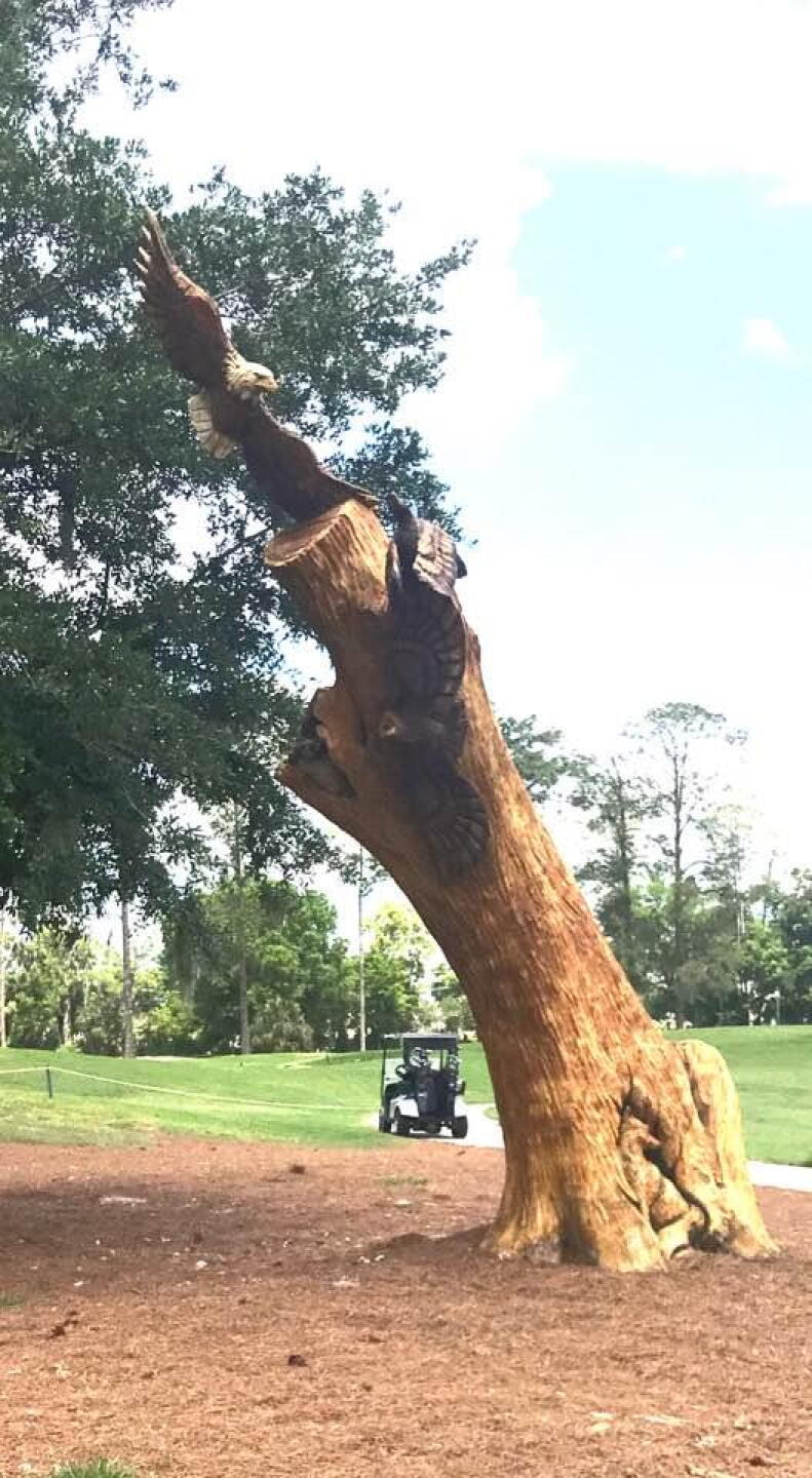 Tree art @ 4th hole (Photo submitted by ScottPhaneuf on 04/24/2017)