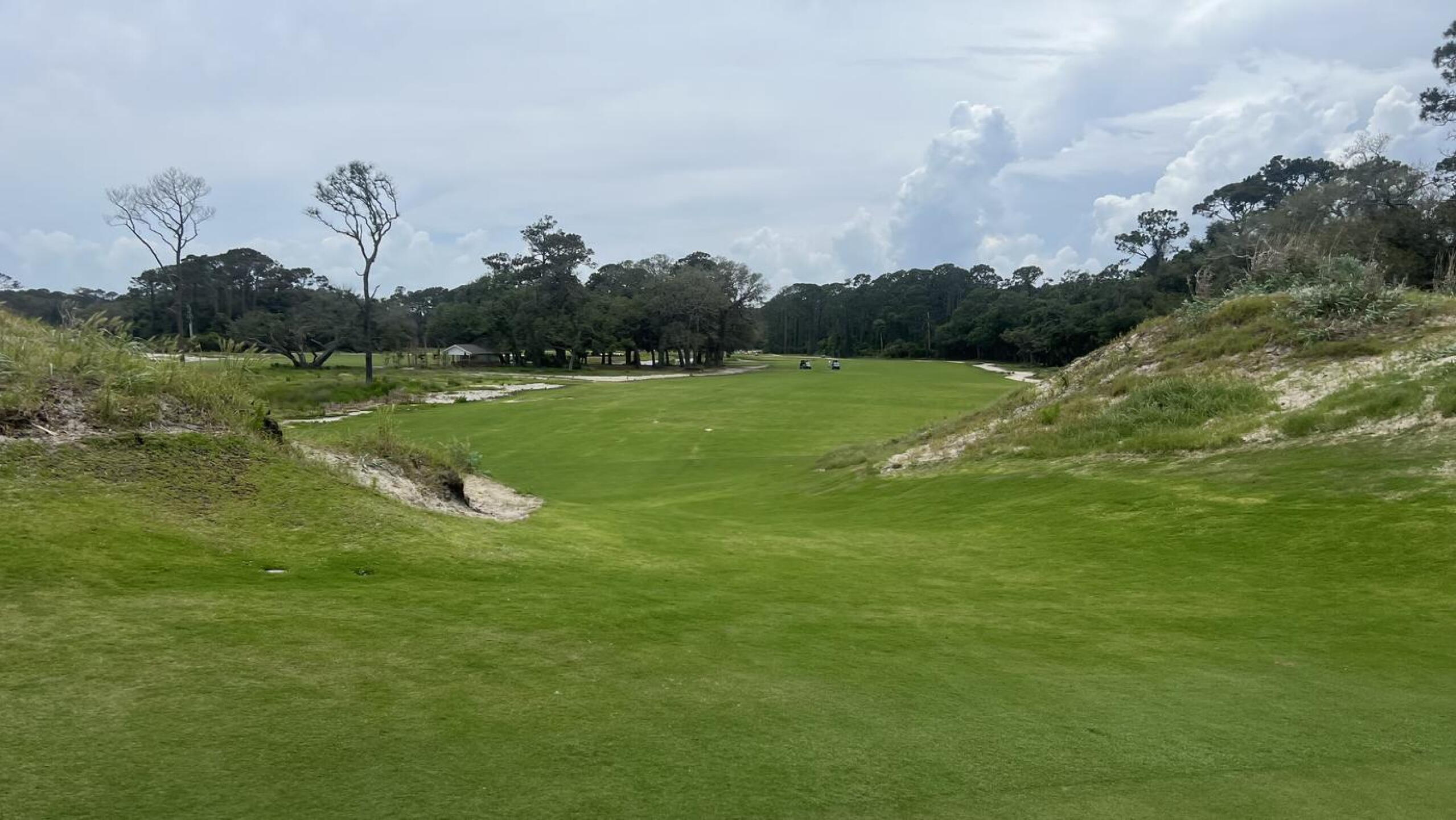 (Photo submitted by GolfingGator72 on 05/24/2026)