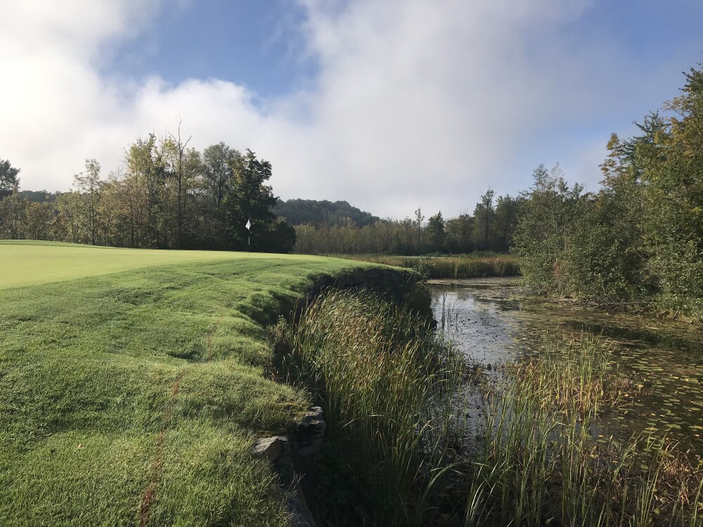 Saratoga National - wetland