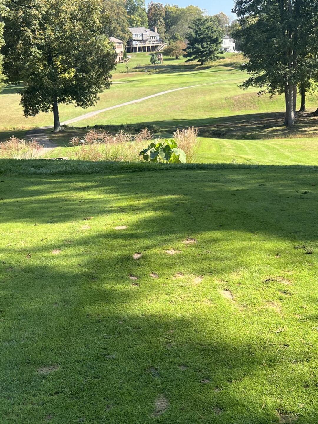 (Photo submitted by tnung5 on 10/06/2024)