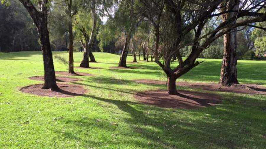 Lochiel Park GC