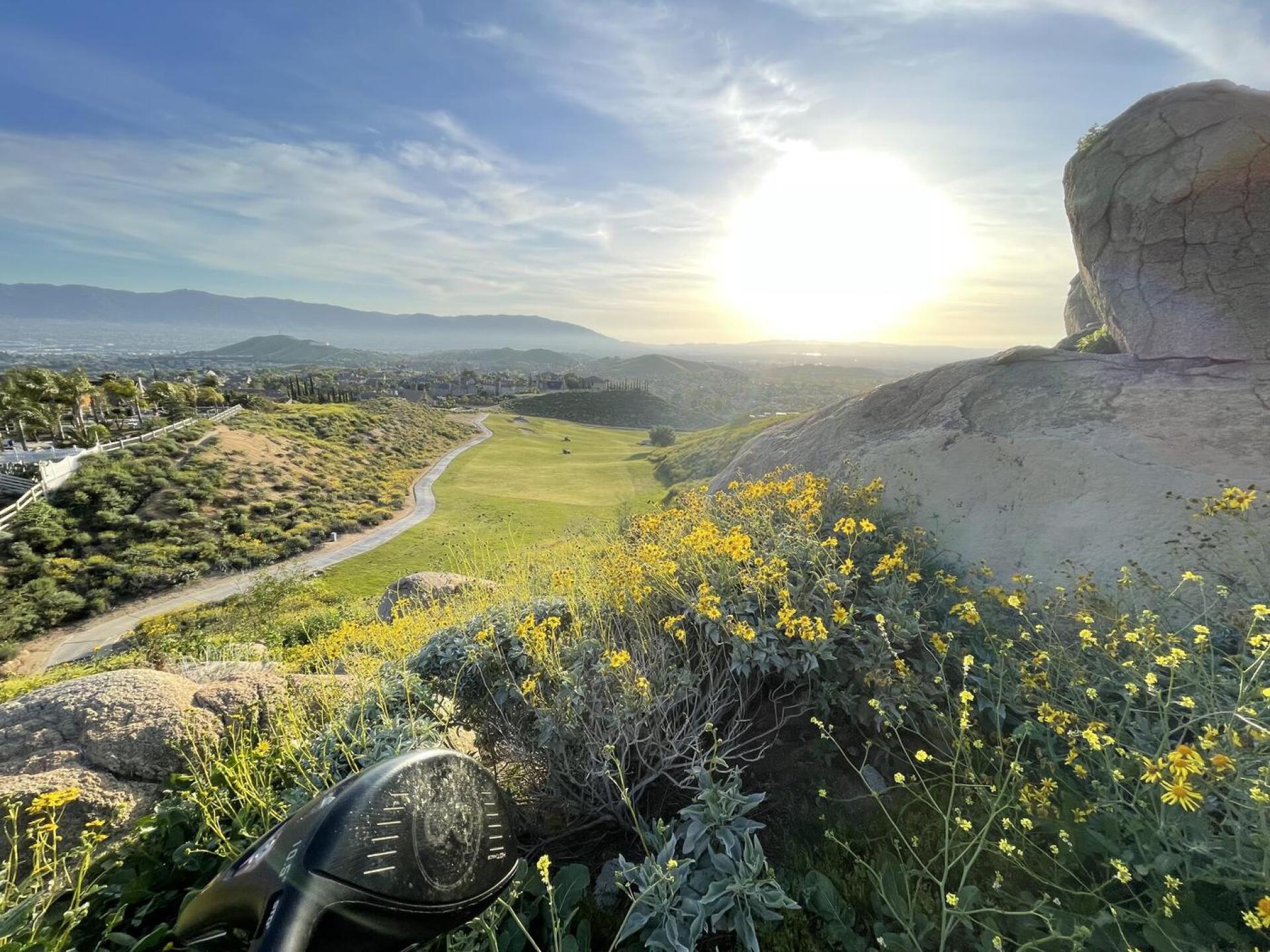 (Photo submitted by hsingbabe88 on 04/09/2023)