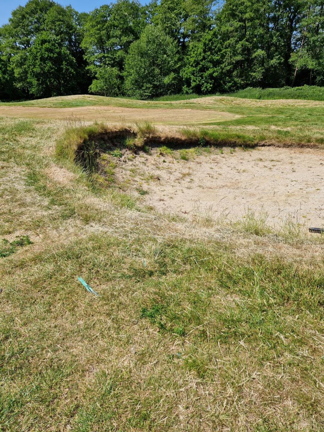 (Photo submitted by u314161985473 on 06/04/2023)