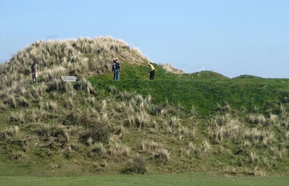 Laytown and Bettystown GC: #12